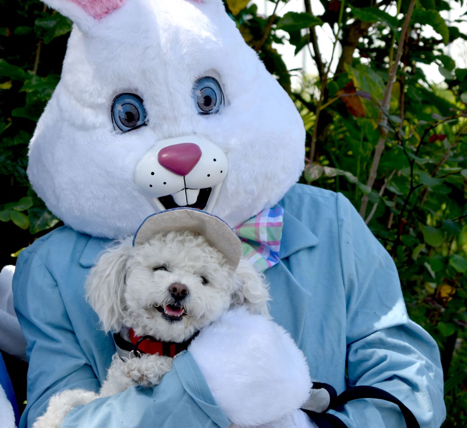 Families and pets celebrate Easter early at Punta Gorda History Park